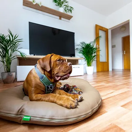 Appartement Nahdran Pet